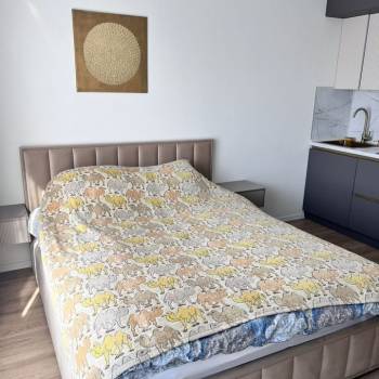 Сдается 1-комнатная квартира, 23,5 м²