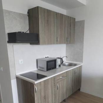 Сдается 1-комнатная квартира, 25,5 м²