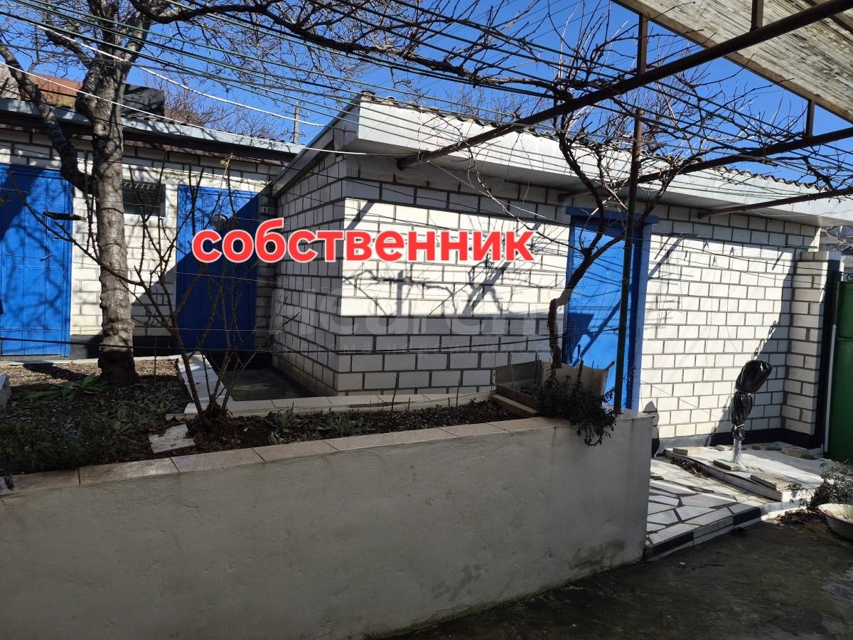 Фотография №12