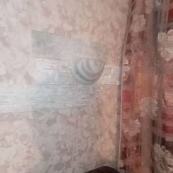 Сдается Комната, 14 м²