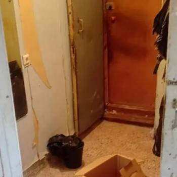 Сдается 1-комнатная квартира, 30,9 м²