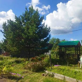 Продается Участок, 600 м²