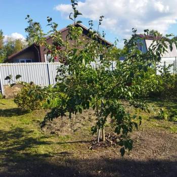 Продается Участок, 600 м²