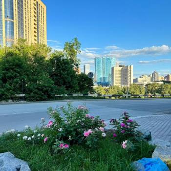 Сдается Нежилое помещение, 90 м²