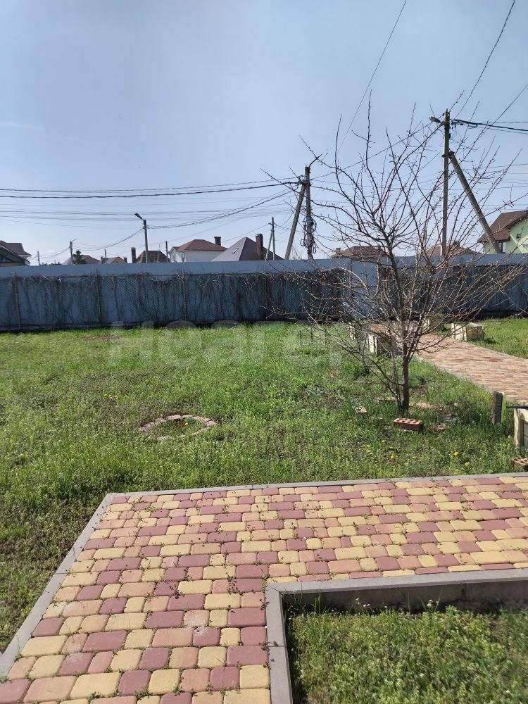Фотография №11