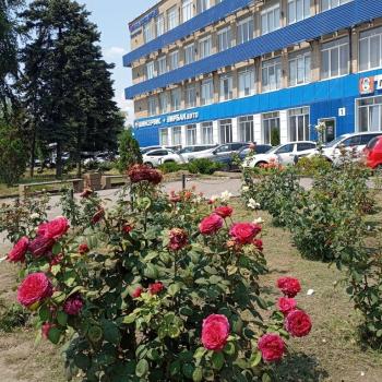 Сдается Офис, 140 м²