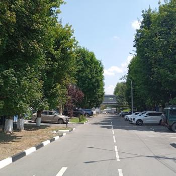 Сдается Офис, 174 м²