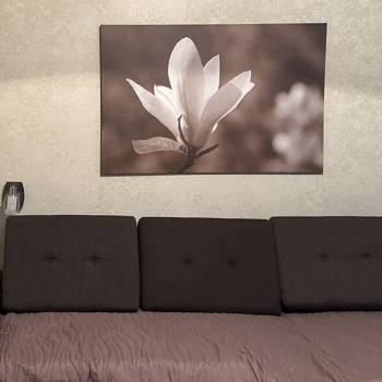 Сдается 2-х комнатная квартира, 55 м²