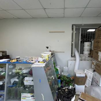 Сдается Нежилое помещение, 36 м²