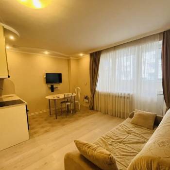 Сдается 1-комнатная квартира, 26,7 м²