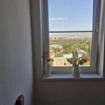 Сдается Многокомнатная квартира, 84 м²
