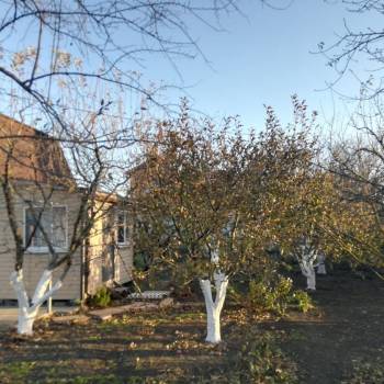 Продается Дом, 44 м²