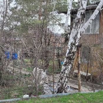 Продается Участок, 410 м²