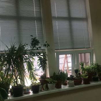 Сдается Нежилое помещение, 25 м²
