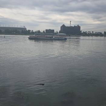 Продается Участок, 10000 м²