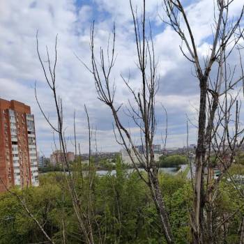 Сдается 2-х комнатная квартира, 45 м²