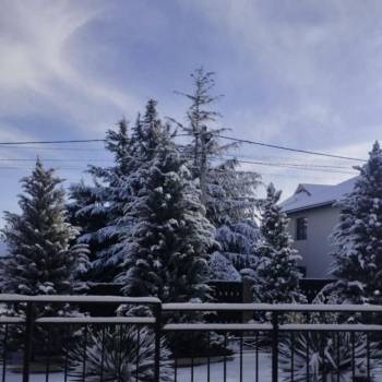 Сдается 1-комнатная квартира, 17 м²
