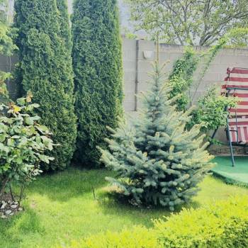 Сдается Дом, 40 м²