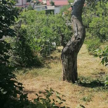 Продается Участок, 880 м²