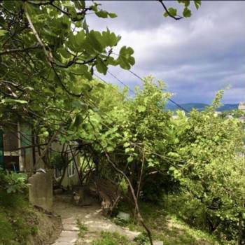 Сдается Комната, 20 м²
