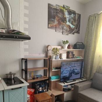 Продается 1-комнатная квартира, 29 м²