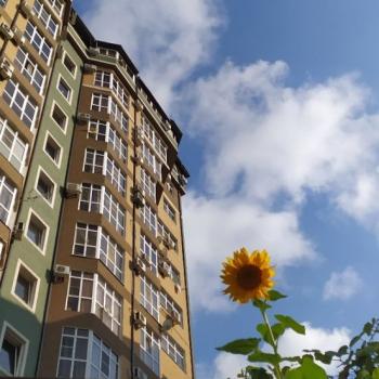 Продается 1-комнатная квартира, 33,5 м²
