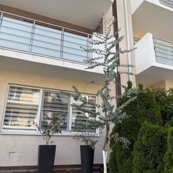 Сдается Дом, 129 м²