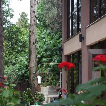 Сдается Комната, 50 м²