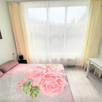 Сдается 1-комнатная квартира, 22 м²