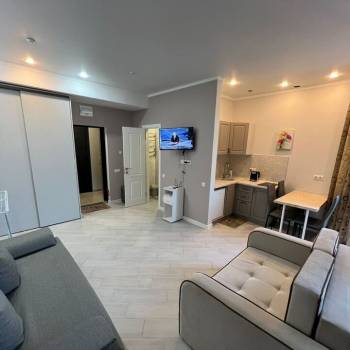 Сдается 1-комнатная квартира, 24,6 м²