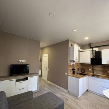 Сдается 1-комнатная квартира, 21,2 м²