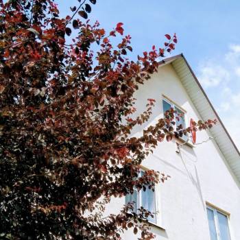 Продается Дом, 163 м²