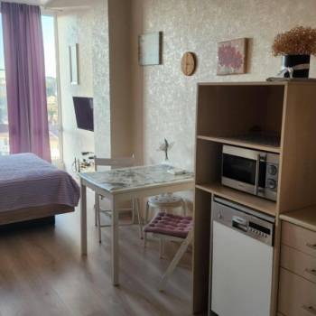 Продается 1-комнатная квартира, 23,9 м²
