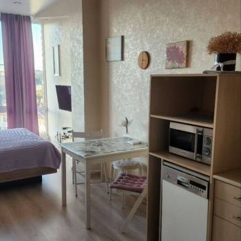 Продается 1-комнатная квартира, 23,9 м²