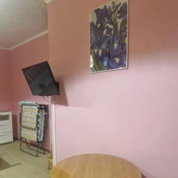 Сдается 1-комнатная квартира, 27 м²