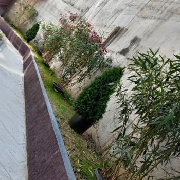 Продается 1-комнатная квартира, 19,3 м²
