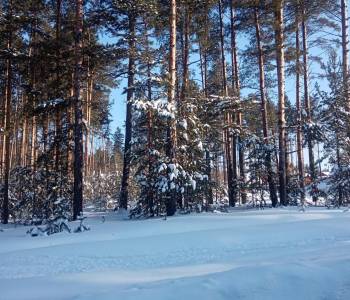 Продается Участок, 650 м²