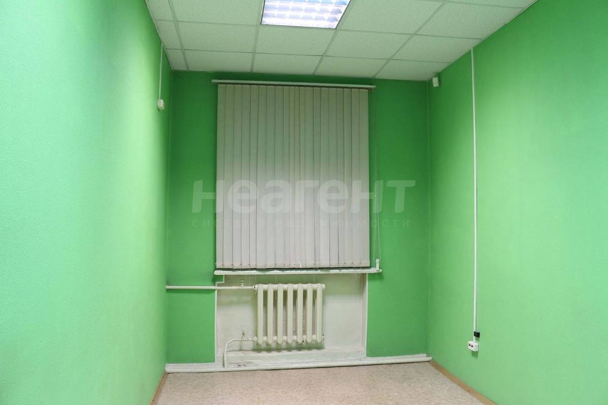 Фотография №11