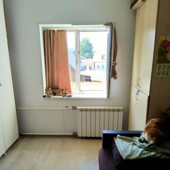 Продается 1-комнатная квартира, 17,6 м²