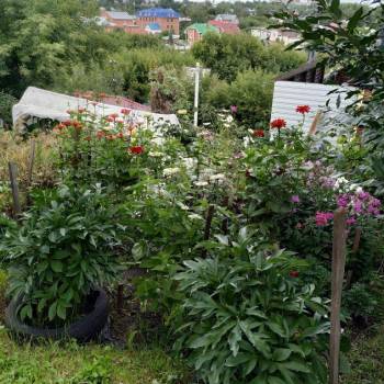 Продается Дом, 45 м²