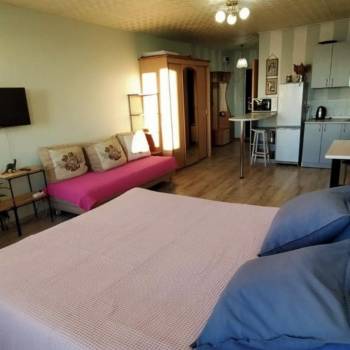 Сдается 1-комнатная квартира, 45 м²
