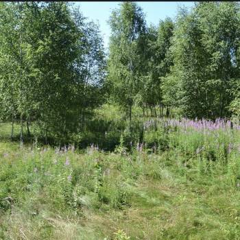 Продается Участок, 1500 м²