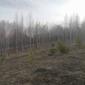 Продается Участок, 1200 м²