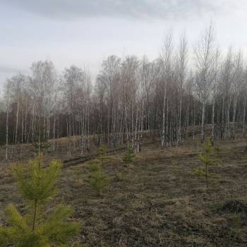 Продается Участок, 1200 м²