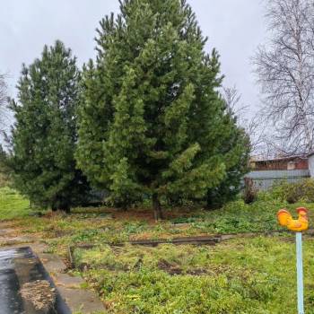 Продается Дом, 60 м²