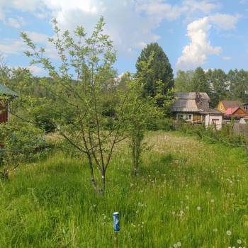 Продается Участок, 800 м²