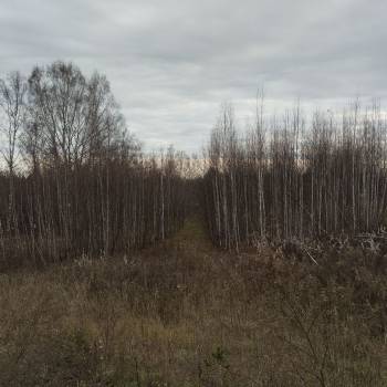 Продается Участок, 2000 м²