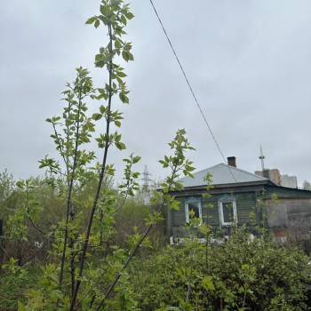 Продается Дом, 36 м²