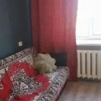 Сдается 1-комнатная квартира, 17,5 м²