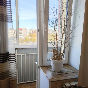 Сдается 1-комнатная квартира, 24 м²
